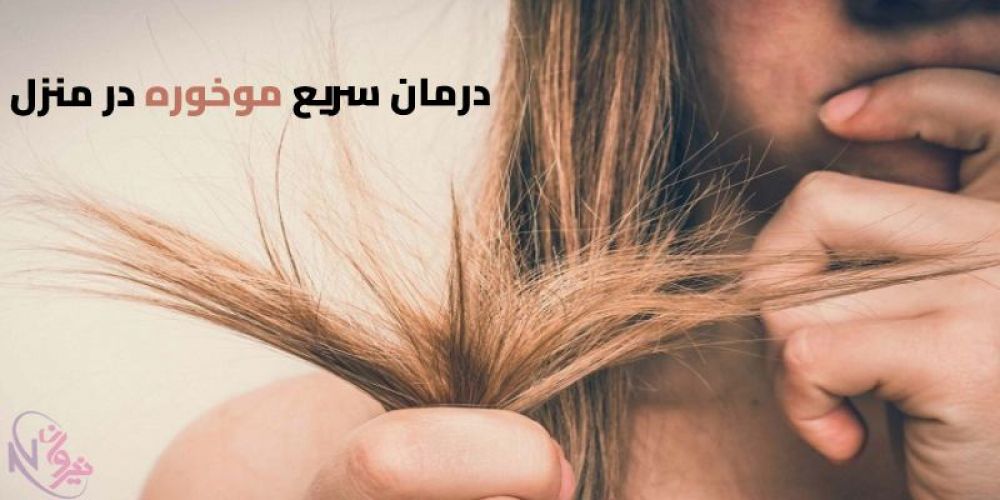 موخوره چیست؟
